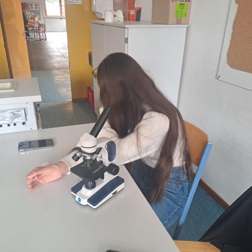 Projekttag2024