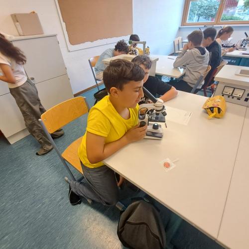 Projekttag2024