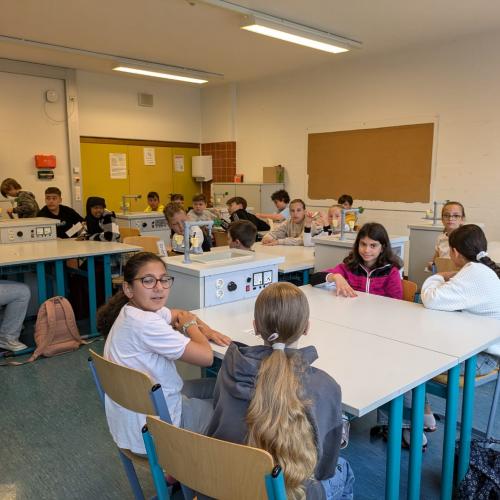 Projekttag2024