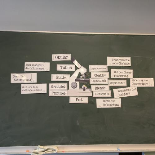 Projekttag2024
