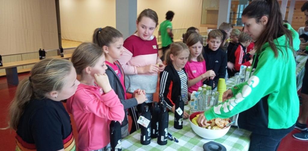 Gorilla_1920_4 Gorilla-Workshop