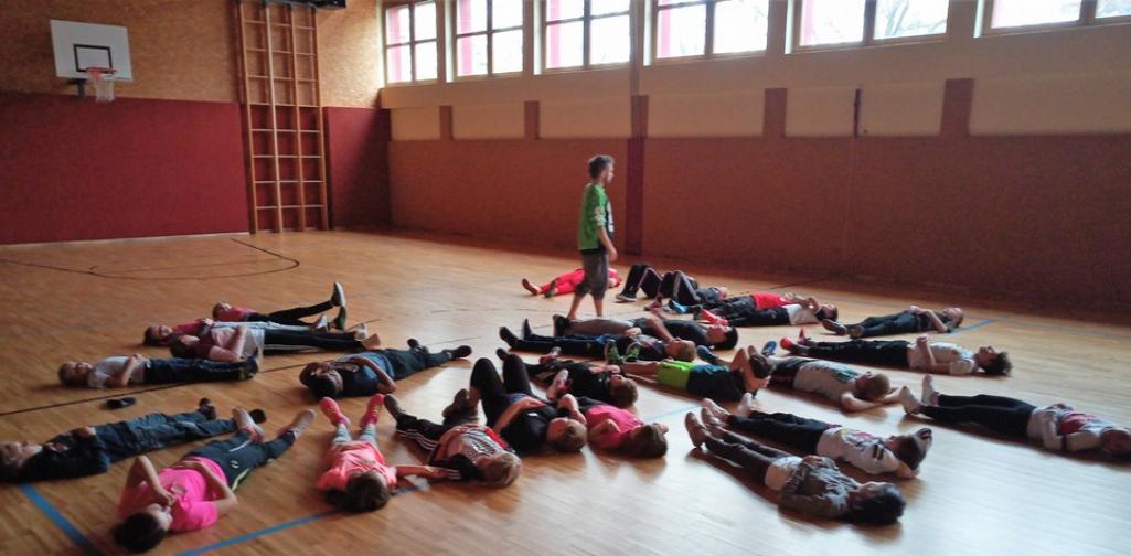 Gorilla_1920_8 Gorilla-Workshop